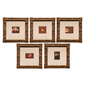 Prints, Stephanie Weber