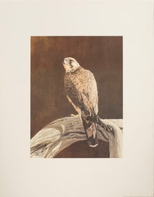 Prints, Bruce Lattig, Et Al.