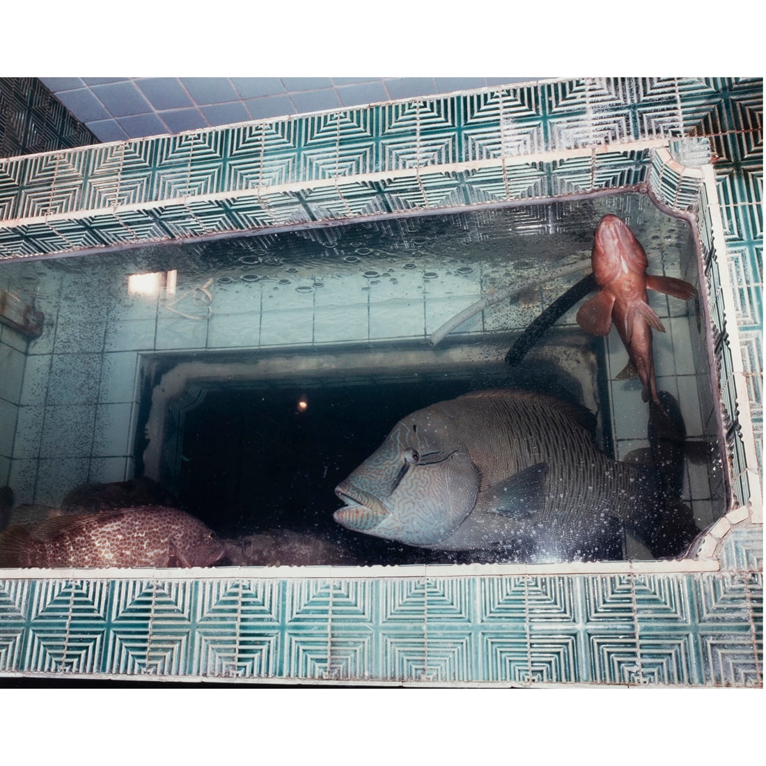 Photograph, Leo Rubinfien: Leo Rubinfien (American, b. 1943), "In the Entrance to Fish Restaurant ... ," 1983, ektacolor print, image sight: 16"h x 20"w, overall (with frame): 22.5"h x 25.5"w. Provenance: Estate of Professor Ra