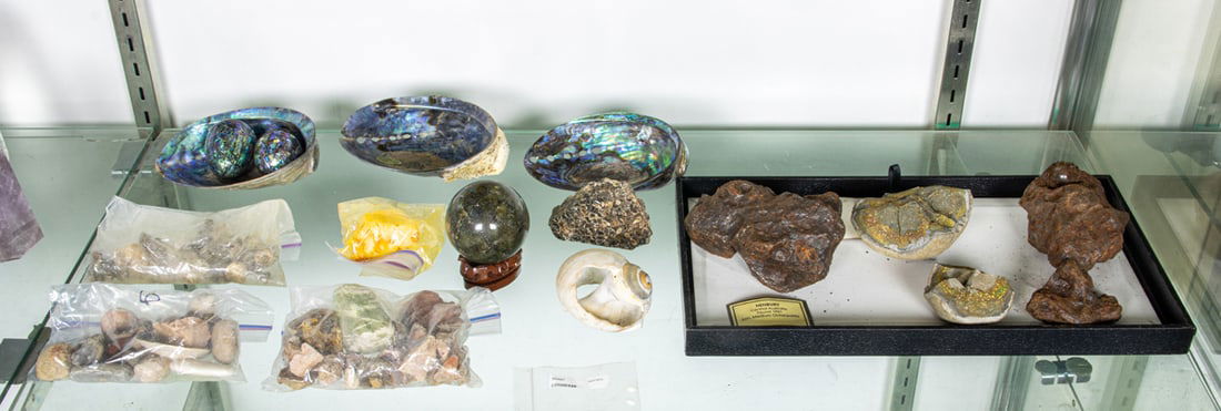 A group of specimen stones, fossils and shells (1 of 1)