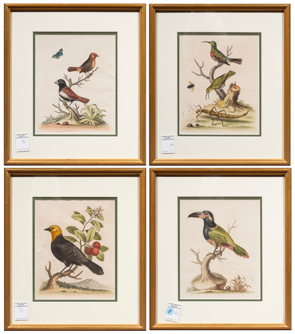 Prints, After George Edwards (1 of 4)