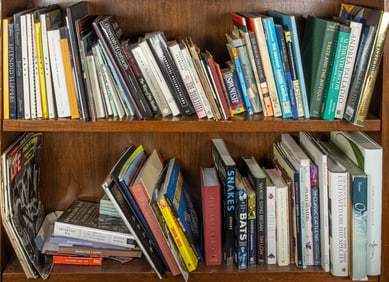 Two shelves of books and periodicals on animals, antiques, foreign cultures and interior design