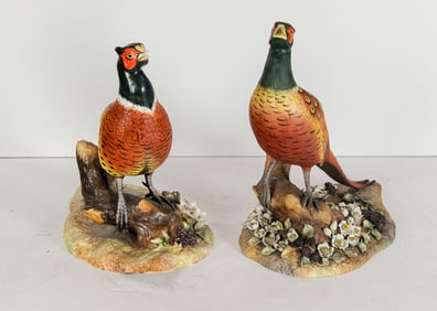 Two Royal Crown Derby porcelain pheasants