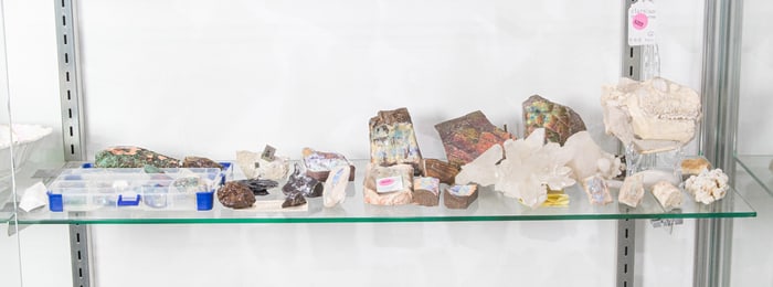 A group of mainly specimen stones and fossils