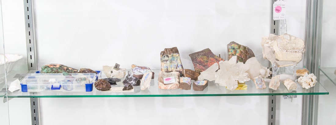 A group of mainly specimen stones and fossils (1 of 1)