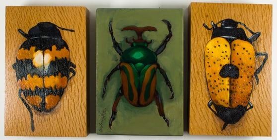 Paintings, Caroline Hipkiss