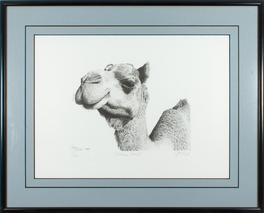 Print, Genie Elliott: Genie Elliott (American, 20th century), "Arabian Camel," 1988, offset print, pencil signed lower right, titled lower center, edition 21/190, overall (with frame): 14"h x 17.25"w