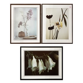 Prints, American School (20th century)