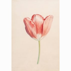 Print, Rory McEwen