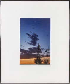 Photograph, Alexis White