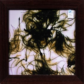 Photograph, Alice Hargrave