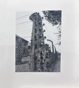 Photographs, Jim Millett