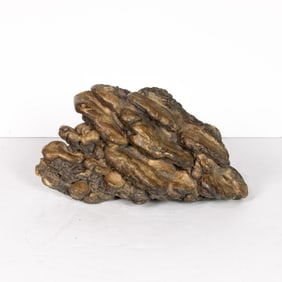 A Chinese lingzhi fungus specimen
