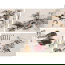 Zhang Daqian (1899 - 1983) - Four Chinese painting of Various Subjects