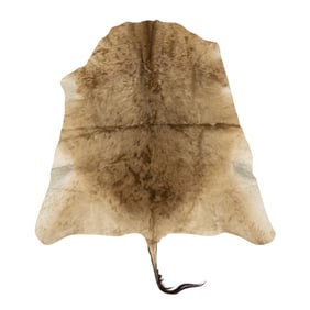 A vintage cow hide