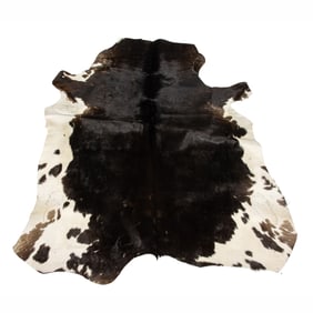 A vintage cow hide