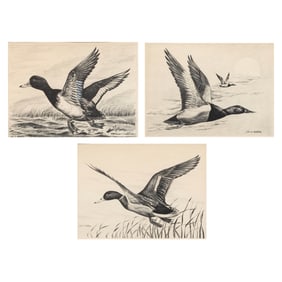 Works on paper, John A Ruthven