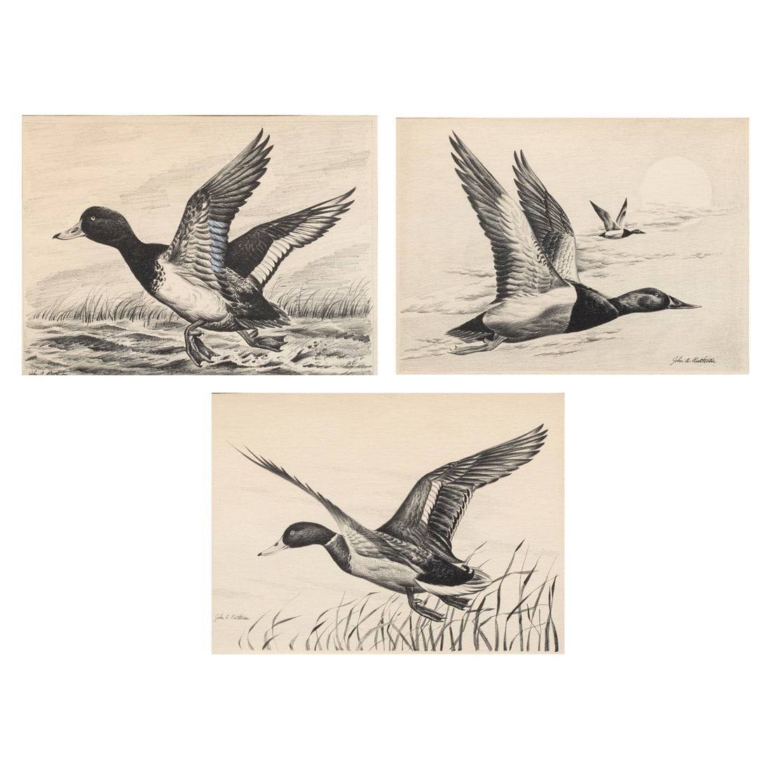 Works on paper, John A Ruthven: (lot of 3) John A. Ruthven (American, b. 1924), Ducks, pencil and gouache on paper, each signed lower left/right, sight (for each): 7"h x 9.5"w, overall (with frame, for each): 12.75"h x 16.75"w