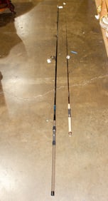 Two fishing rods