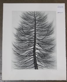 Shigeru Kimura (b