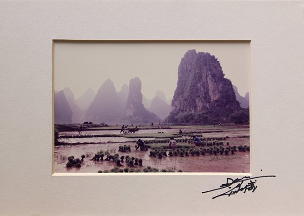 Photographs, Don Hong Oai, Chinese: Set of 3 unframed (matted) chromogenic prints, Chinese Agricultural Scenes, 1984, by Don Hong Oai (Chinese/American, 1919-2004), signed and dated ''Don Hong Oai'' lower right, bears artist's stamp ver
