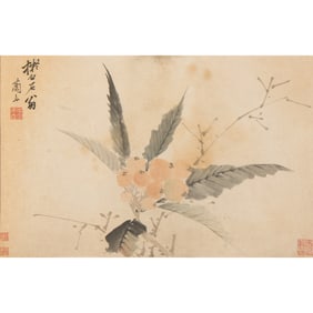 Anonymous (Qing Dynasty) - Chinese Painting of Loquat