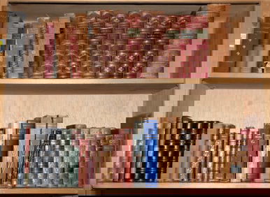 Two shelves of leather bound dictionaries