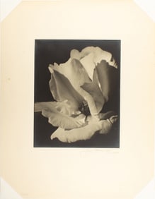 Photograph, Johan Hagemeyer