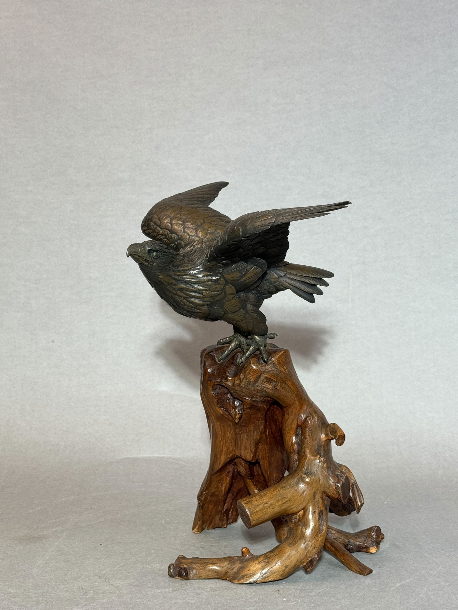 Japanese Bronze Hawk on Rootwood Stand, Meiji Period  (1 of 17)