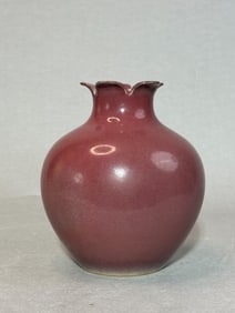 Chinese Copper Red Monochrome Porcelain Vase, 19th/20th Century
