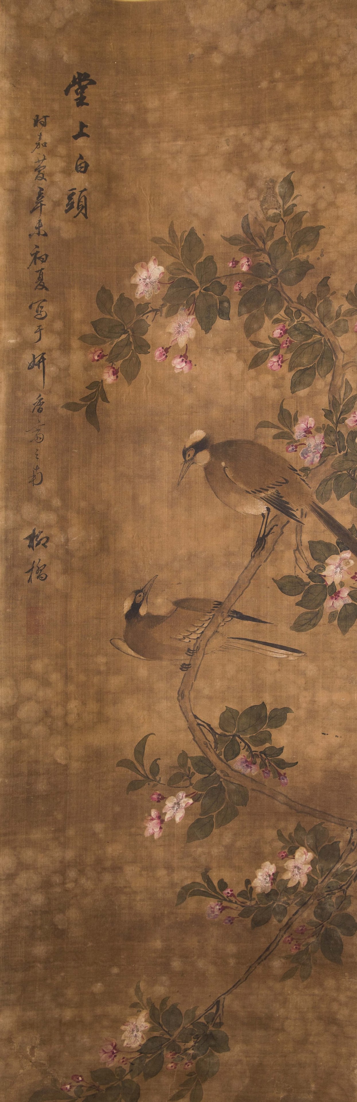 Anonymous (Qing Dynasty) - Flowers and Bird (1 of 6)
