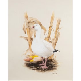 Watercolor, Ken Carlson