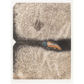 Print, Francisco Toledo