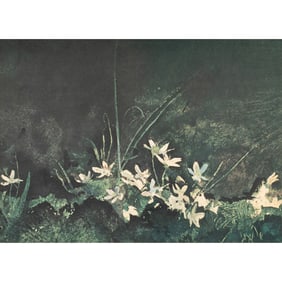 Print, Andrew Wyeth
