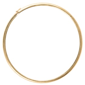 A 14k bi-color gold omega necklace