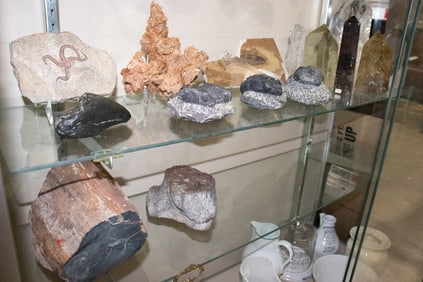 A group of artificial fossils, including (3) large trilobite paperweights; brittle star display