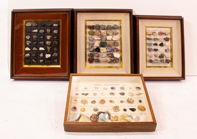 A collection of shells and specimen stones mounted and framed in four cases