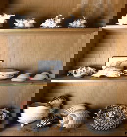 Three shelves of various shells