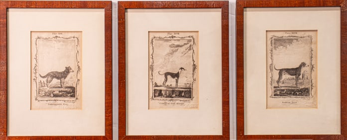 Prints, British School (19th century)