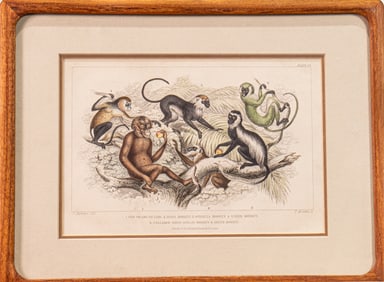 Print, After J. Stewart Smith