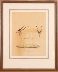 Print, French School (19th century)
