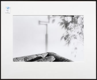 Photograph, Alexis White