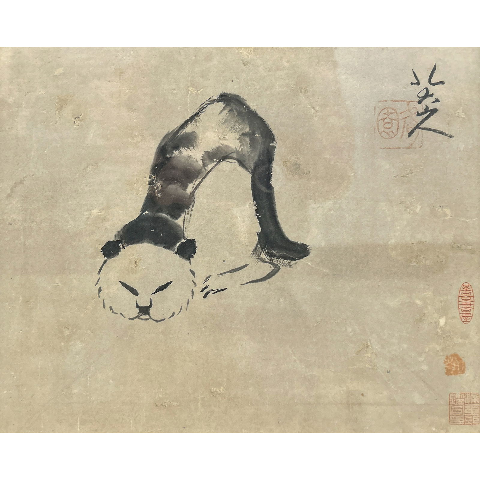 Attributed to Bada Shanren (1626b - 1705) - Chinese Painting of Cat (1 of 7)