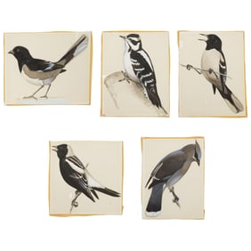 Works on paper, Attributed to Roger Tory Peterson