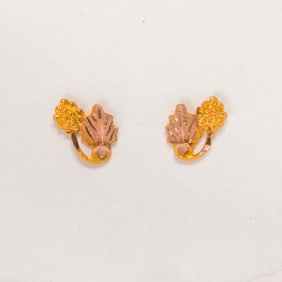 A pair of 14k gold earrings