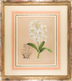 Print, British School (20th century)