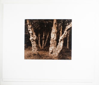 Photographs, Jim Millett