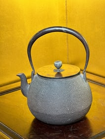 Japanese Iron Teapot with Mixed Metal Inlay, Meiji Period