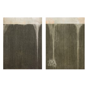 Prints, Kazuko Watanabe