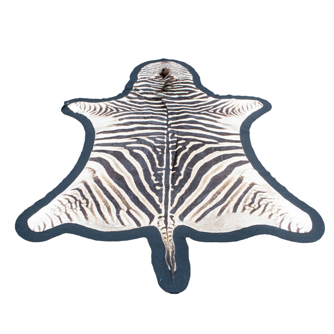 An antique zebra rug, 85" x 40" (1 of 5)